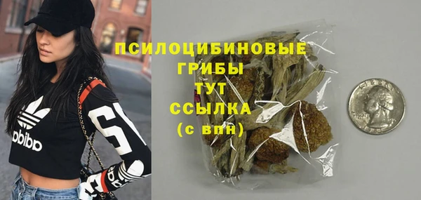 PSILOCYBIN Магас