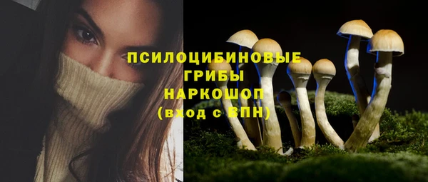PSILOCYBIN Магас