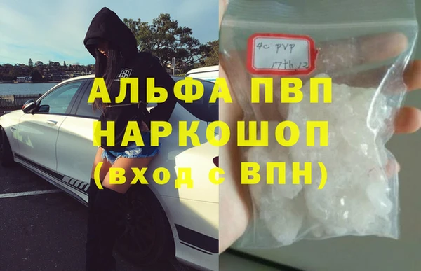 PSILOCYBIN Магас