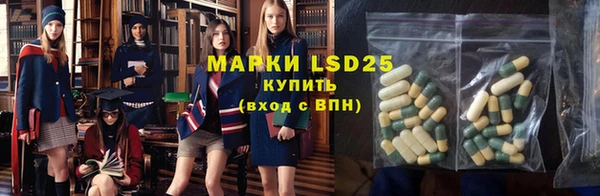 PSILOCYBIN Магас
