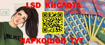 spice Гай