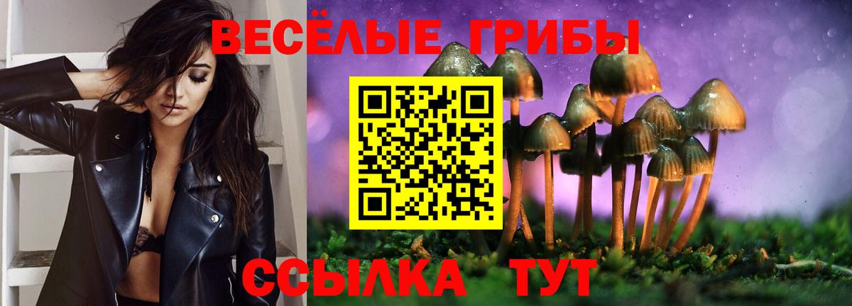 Галлюциногенные грибы ЛСД Новокузнецк