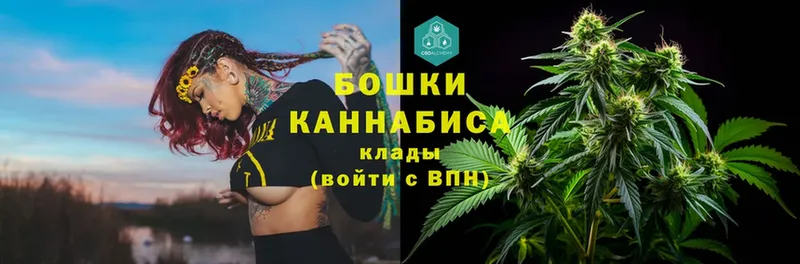 МАРИХУАНА White Widow  мега как зайти  Новокузнецк  хочу наркоту 